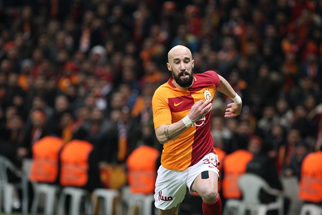 在竞选纲领 在竞选纲领